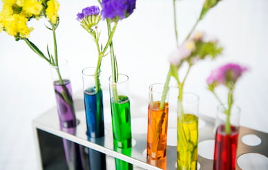 Flowers in Test Tubes: <a href="https://www.freepik.com/free-photo/flowers-row-testubes-with-different-colored-water-decoration-science-experiment-concept_3011220.htm">Image by rawpixel.com</a> on Freepik